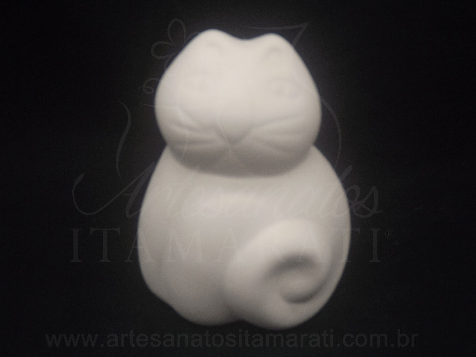 Gato Espiral P